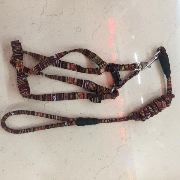 dog collars & leashes 12pcs/lot leash lead pet colorful sizes training puppy cat collar vest harnesses
dog collars & leashes 12pcs/lot leash lead pet colorful sizes training puppy cat collar vest harnesses