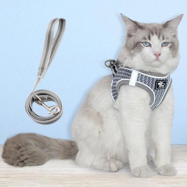 cat collars & leads reflective harness and leash set no pull breathable mesh kitten dog puppy small dogs harnesses vest
cat collars & leads reflective harness and leash set no pull breathable mesh kitten dog puppy small dogs harnesses vest