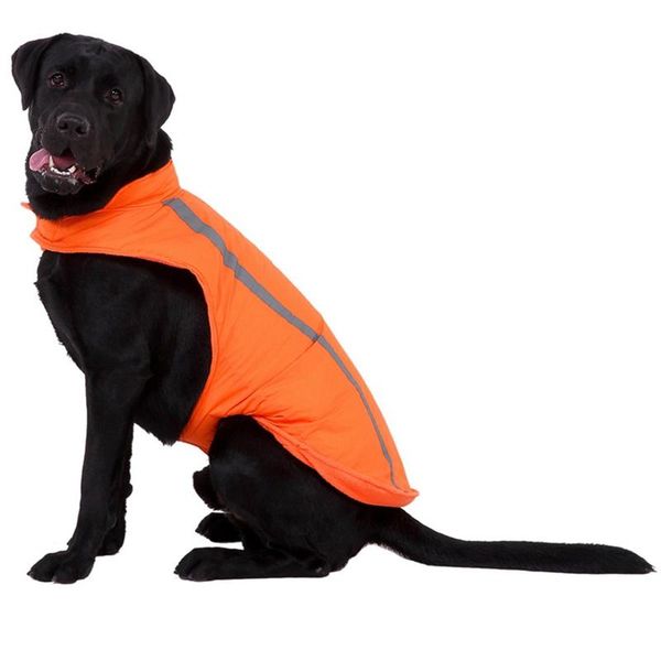 dog apparel reflective pet outdoor jacket for large dogs thickening warm coat autumn winter fashion personalized accessories
dog apparel reflective pet outdoor jacket for large dogs thickening warm coat autumn winter fashion personalized accessories
