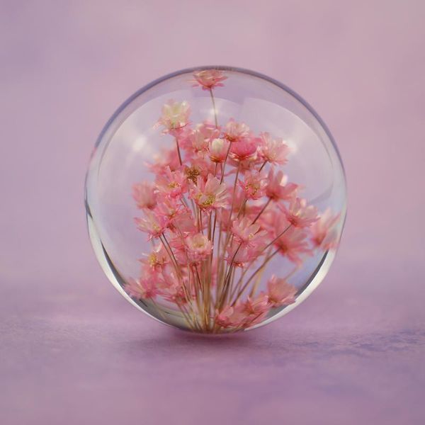 novelty items real red daisy crystal glass resin lens ball natural plants flowers specimen christmas love mum gift with box home decor globe
novelty items real red daisy crystal glass resin lens ball natural plants flowers specimen christmas love mum gift with box home decor globe