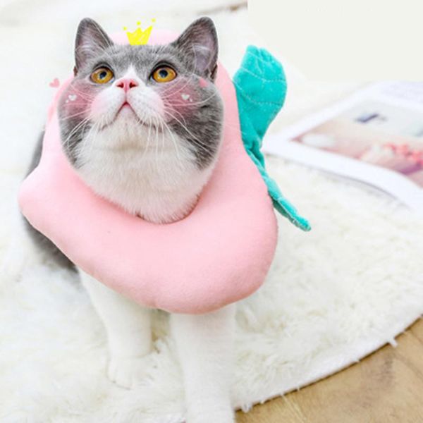 cat toys elizabeth circle pet anti-lick and anti-bite collar headgear avocado toast ring
cat toys elizabeth circle pet anti-lick and anti-bite collar headgear avocado toast ring