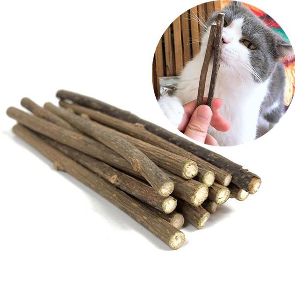 cat toys natural catnip pet molar toothpaste sti matatabi actinidia fruit siervine snas stis cleaning teeth
cat toys natural catnip pet molar toothpaste sti matatabi actinidia fruit siervine snas stis cleaning teeth