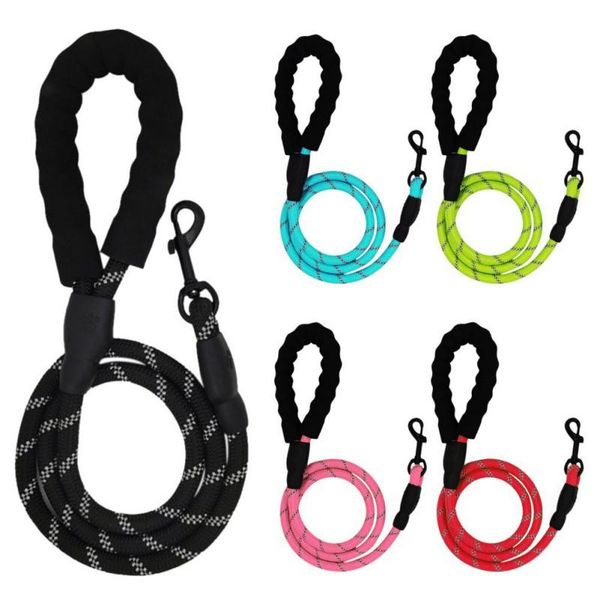 dog collars & leashes leash outdoor running walk train for large small cat pets dogs harnesses rope nylon tenacity
dog collars & leashes leash outdoor running walk train for large small cat pets dogs harnesses rope nylon tenacity