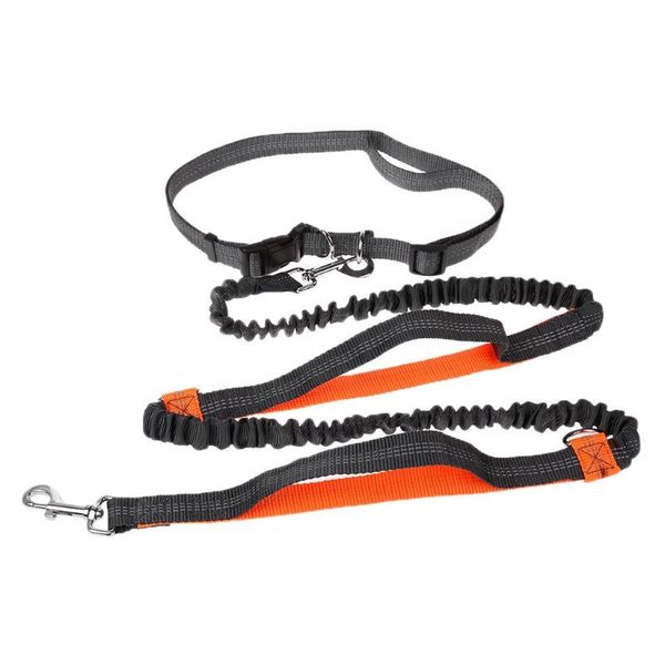 retractable hands dog leash for running large dogs double elastic 875a collars & leashes
retractable hands dog leash for running large dogs double elastic 875a collars & leashes