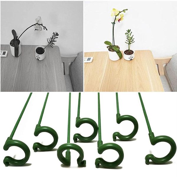 other garden supplies tools plant stake vine tomato accessory clips elements fixed flowers holder
other garden supplies tools plant stake vine tomato accessory clips elements fixed flowers holder