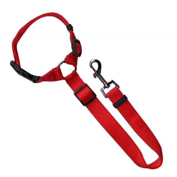 dog collars & leashes reflective traction rope pet running elastic hand jogging metal d ring
dog collars & leashes reflective traction rope pet running elastic hand jogging metal d ring