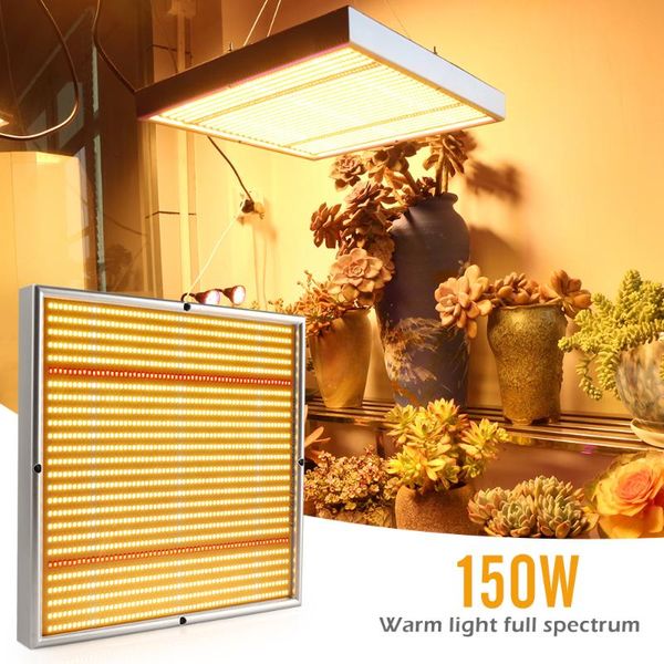 xingruyu 1560leds grow light full spectrum superior 150w led growing lamp warm white for indoor hydroponics plant lights
xingruyu 1560leds grow light full spectrum superior 150w led growing lamp warm white for indoor hydroponics plant lights