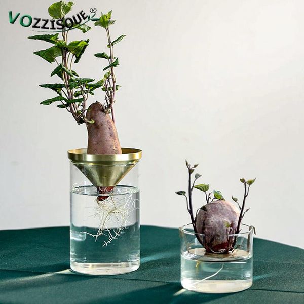 planters & pots glass hydroponic vase modern garden ornaments living room creative transparent small mouth copper flower ware
planters & pots glass hydroponic vase modern garden ornaments living room creative transparent small mouth copper flower ware