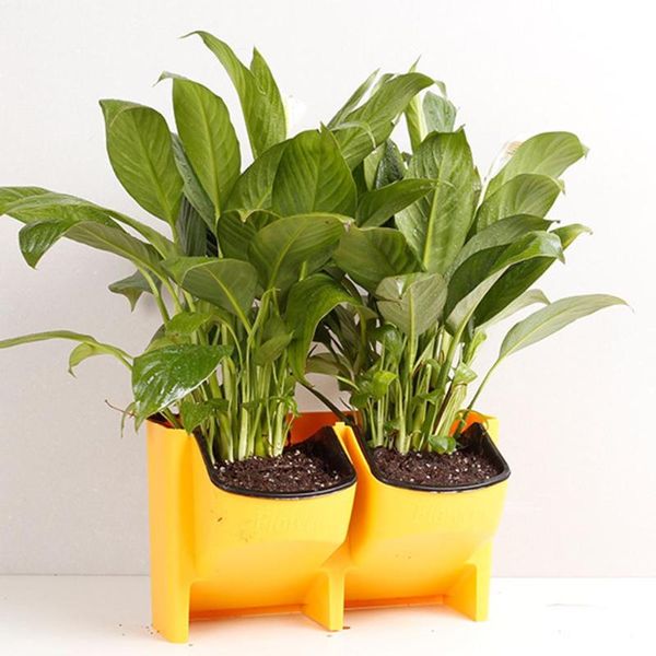 planters & pots self watering flower pot stackable vertical planter wall hanging durable for garden balcony c44
planters & pots self watering flower pot stackable vertical planter wall hanging durable for garden balcony c44