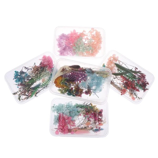 dried flower plants for candle epoxy resin pendant necklace jewelry making craft diy home wedding decor decorative flowers & wreaths
dried flower plants for candle epoxy resin pendant necklace jewelry making craft diy home wedding decor decorative flowers & wreaths