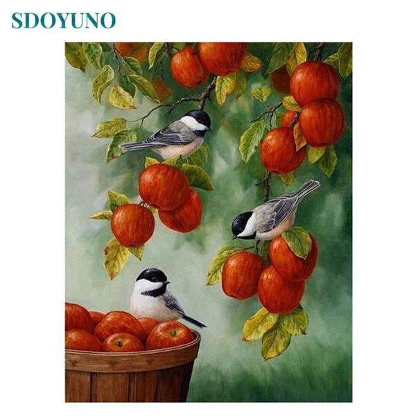paintings sdoyuno frame apple birds diy painting by number animals modern home wall art picture & calligraphy unique gift 40x50
paintings sdoyuno frame apple birds diy painting by number animals modern home wall art picture & calligraphy unique gift 40x50