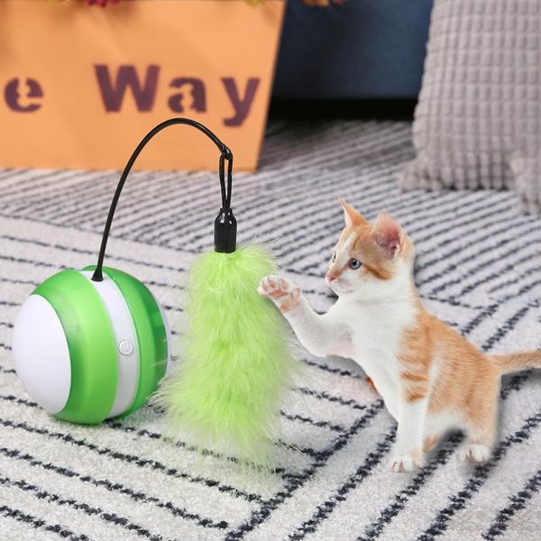 cat toys toy elaborate manufacture prolonged durable electric ball laser light feather stick interactive teasing pet supplies
cat toys toy elaborate manufacture prolonged durable electric ball laser light feather stick interactive teasing pet supplies
