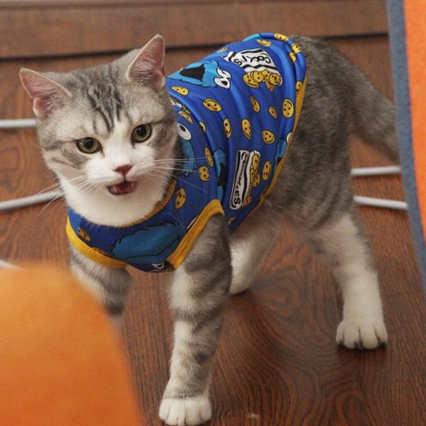 cat costumes pet dog fashion summer shirt cats small dogs breathable vest red polyester clothes puppies costume
cat costumes pet dog fashion summer shirt cats small dogs breathable vest red polyester clothes puppies costume