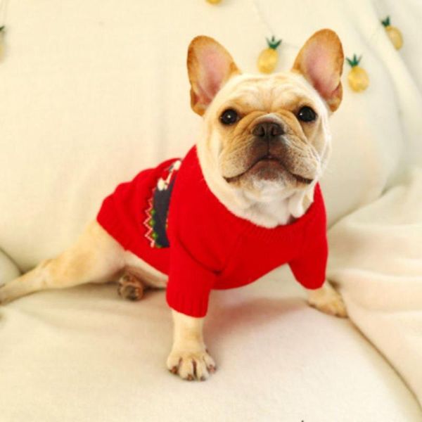 dog apparel pet christmas red sweater cute santas claus 2-legged knitted shirt dogs autumn and winter clothes suitable for pets of all size
dog apparel pet christmas red sweater cute santas claus 2-legged knitted shirt dogs autumn and winter clothes suitable for pets of all size