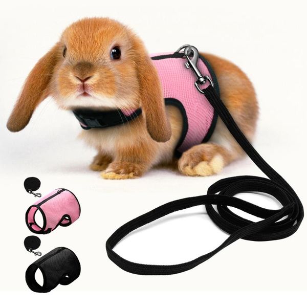 dog collars & leashes harness leash mesh cat hamster and set soft breathable puppy pet small animal walk lead
dog collars & leashes harness leash mesh cat hamster and set soft breathable puppy pet small animal walk lead