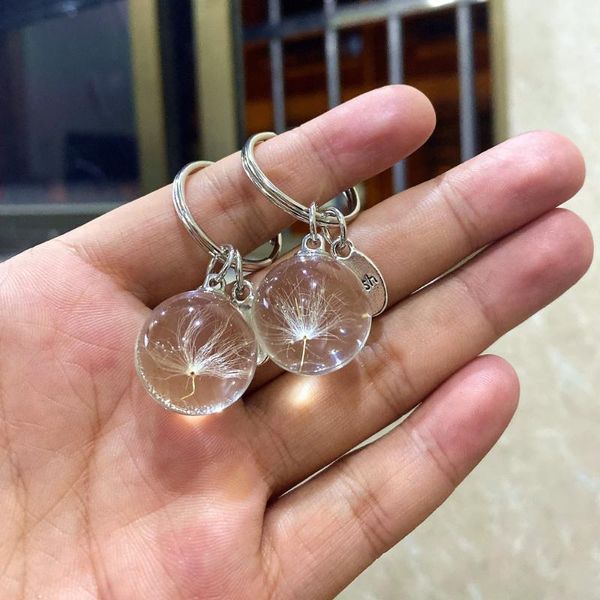 keychains 2pcs dandelion wishing real seeds flower keychain gorgeous jewelry in clear crystal handmade friends gift, Silver
keychains 2pcs dandelion wishing real seeds flower keychain gorgeous jewelry in clear crystal handmade friends gift, Silver