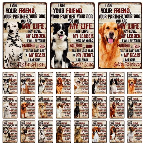 kelly66 dog my life is border collie bulldog dachshund boxer metal sign home decor bar wall art painting 20*30 cm size dy168
kelly66 dog my life is border collie bulldog dachshund boxer metal sign home decor bar wall art painting 20*30 cm size dy168