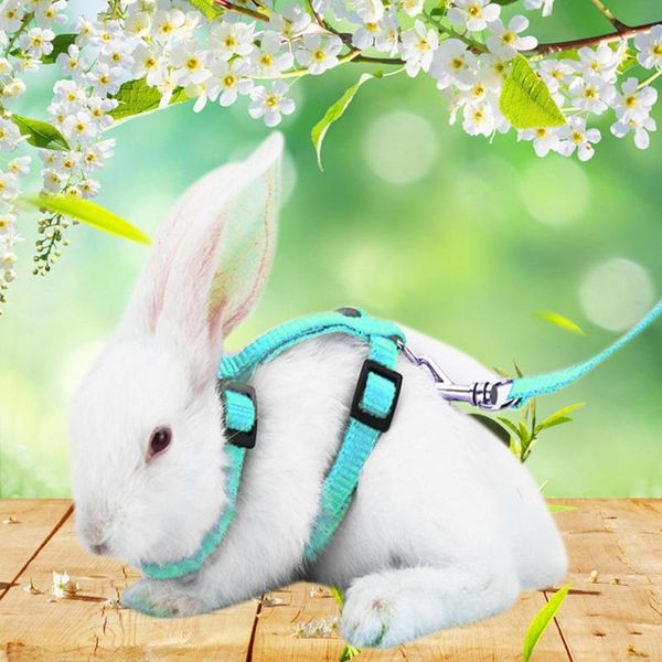 adjustable soft polyester small pet harness leash guinea pig lead rope cat collars & leads
adjustable soft polyester small pet harness leash guinea pig lead rope cat collars & leads