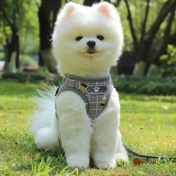 dog collars & leashes harness and leash set, no-pull breathable soft mesh puppy vest reflective adjustable pet harnesses for small medium
dog collars & leashes harness and leash set, no-pull breathable soft mesh puppy vest reflective adjustable pet harnesses for small medium
