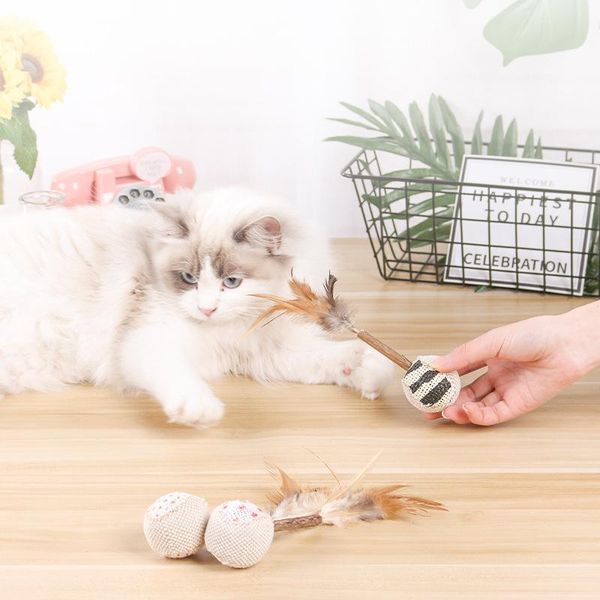cat toys 3pcs/lot creative mutian polygonum stick primary color feathers funny artifact molar teeth play catnip
cat toys 3pcs/lot creative mutian polygonum stick primary color feathers funny artifact molar teeth play catnip