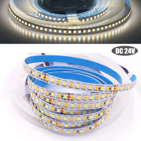 strips 5m dc 24v led strip light ip21 color temperature 168 leds/m white+warm white cct 
strips 5m dc 24v led strip light ip21 color temperature 168 leds/m white+warm white cct