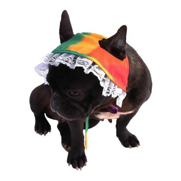 dog apparel pet lace sunshade cap with ears soft comfortable breathable fashion solid color headwear cat dress up
dog apparel pet lace sunshade cap with ears soft comfortable breathable fashion solid color headwear cat dress up