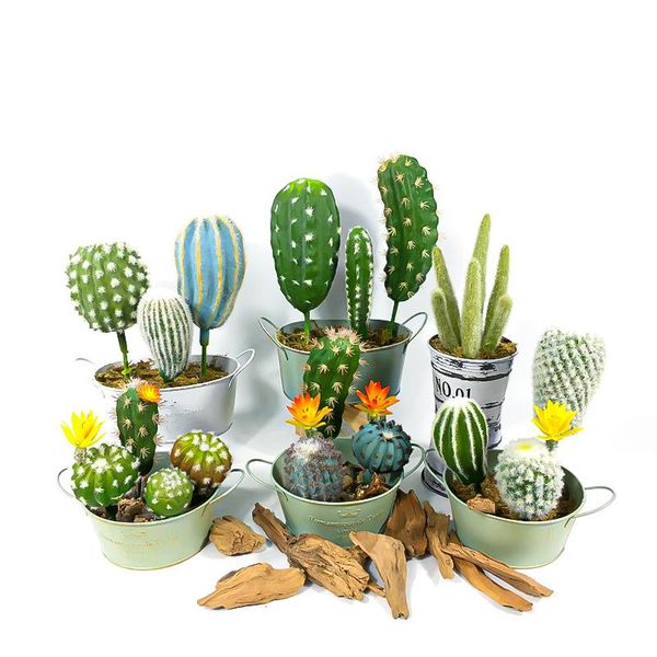 decorative flowers & wreaths artificial succulent plants small fake cactus flocking thorn ball foam desktree branch for home garden offi
decorative flowers & wreaths artificial succulent plants small fake cactus flocking thorn ball foam desktree branch for home garden offi