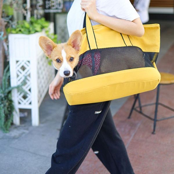 dog car seat covers portable cat and breathable canvas bag outdoor mesh with large openings for walking traveling
dog car seat covers portable cat and breathable canvas bag outdoor mesh with large openings for walking traveling