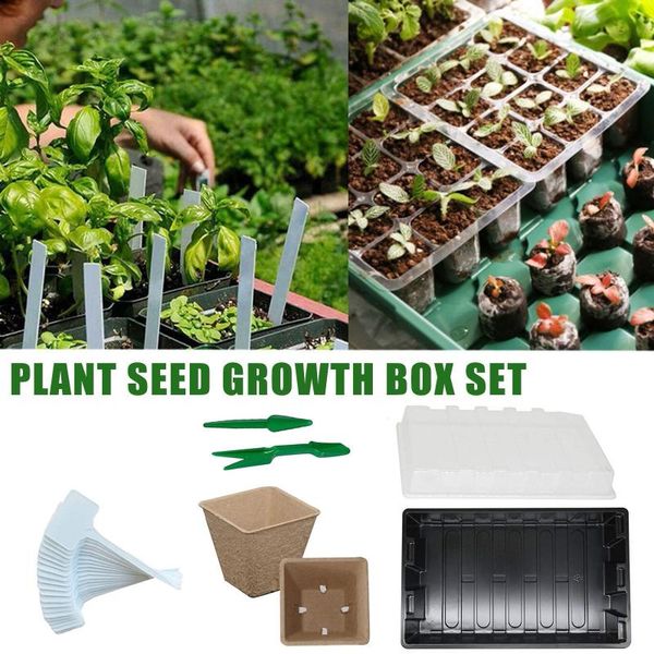 planters & pots seed starter kit for nursery trays indoor and outdoor use pot plant markers grow greenhouse with dom
planters & pots seed starter kit for nursery trays indoor and outdoor use pot plant markers grow greenhouse with dom