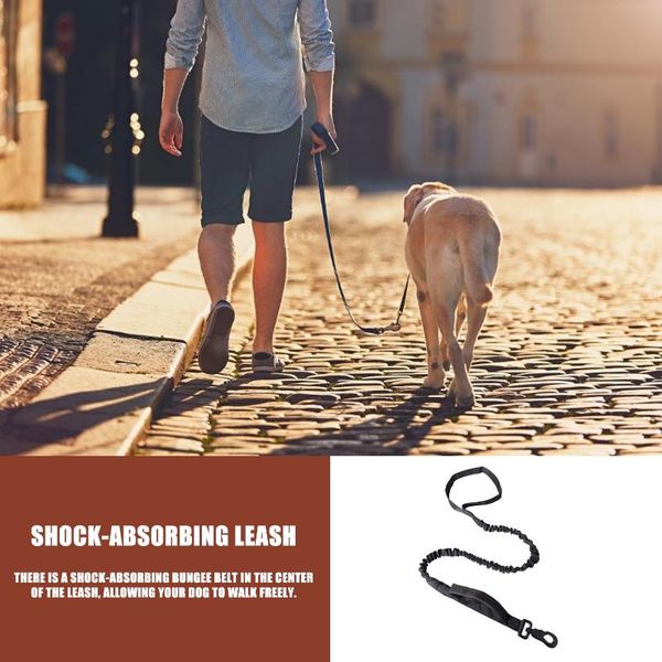 dog leash reflective strong nylon pet leashes with soft handle double durable stretch for outdoor collars &
dog leash reflective strong nylon pet leashes with soft handle double durable stretch for outdoor collars &