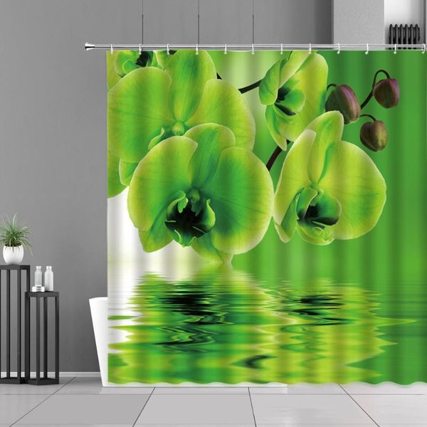 green plants and water reflection shower curtain bath screens home decoration pography backdrop curtains waterproof polyester
green plants and water reflection shower curtain bath screens home decoration pography backdrop curtains waterproof polyester