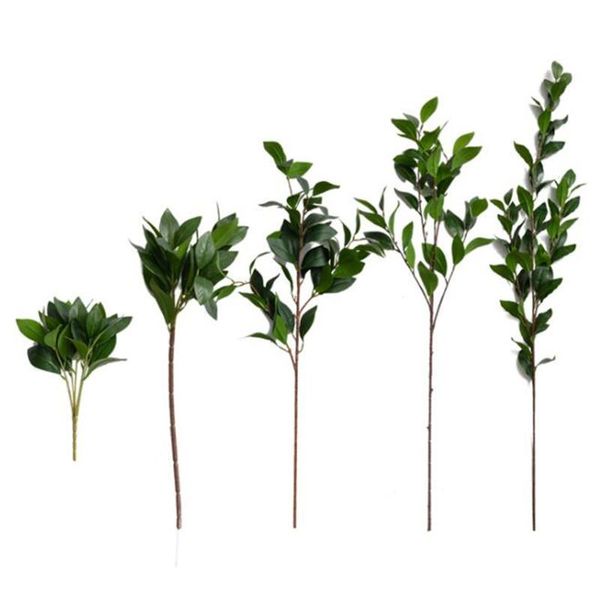 decorative flowers & wreaths 5pcs artificial camellia branch green color faux tea flower leaf stems greenery plant for wall floral decoratio
decorative flowers & wreaths 5pcs artificial camellia branch green color faux tea flower leaf stems greenery plant for wall floral decoratio