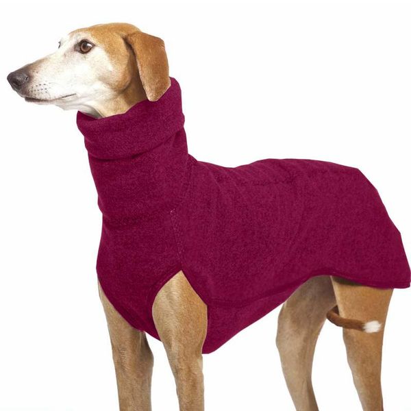 dog apparel 7 color clothes winter keep warm solid outdoor sweater high collar pet jacket for medium large dogs golden retriever
dog apparel 7 color clothes winter keep warm solid outdoor sweater high collar pet jacket for medium large dogs golden retriever