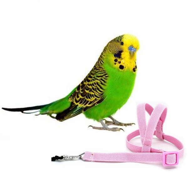 other bird supplies 1pc anti-bite flying training rope parrot pet leash kits ultralight harness soft portable plaything
other bird supplies 1pc anti-bite flying training rope parrot pet leash kits ultralight harness soft portable plaything