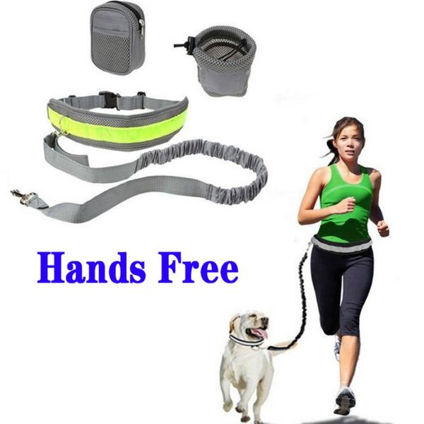 dog collars & leashes leash set hands outdoor walking training running jogging waist belt reflective strip elastic pet supplies
dog collars & leashes leash set hands outdoor walking training running jogging waist belt reflective strip elastic pet supplies