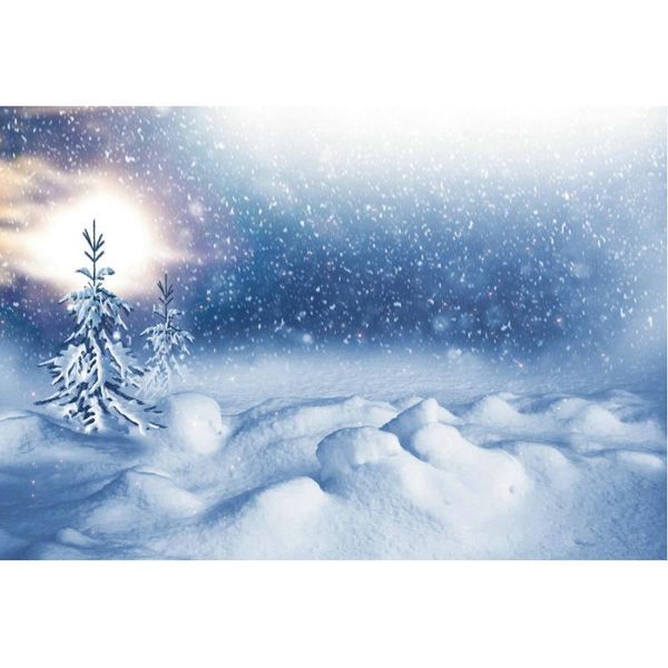 party decoration christmas backdrop winter heavy snow snowflake pography background family year xmas decor po booth studio prop
party decoration christmas backdrop winter heavy snow snowflake pography background family year xmas decor po booth studio prop