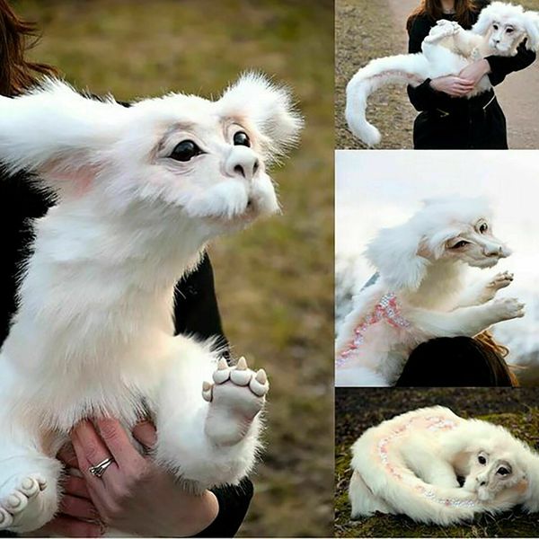 falkor the lucky dragon from th e neverending story plush doll large toys gift
falkor the lucky dragon from th e neverending story plush doll large toys gift