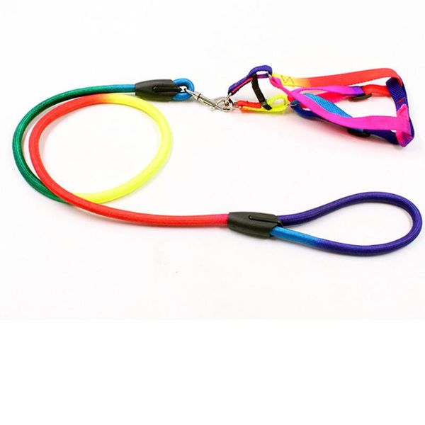 dog collars & leashes 1 pcs pets dogs collar reinforcing rainbow colors rope round pet puppy cats leash lead harness traction nylon material
dog collars & leashes 1 pcs pets dogs collar reinforcing rainbow colors rope round pet puppy cats leash lead harness traction nylon material