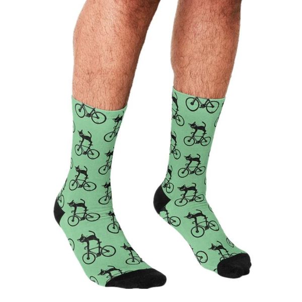 men's socks 2021 funny harajuku cat loves a bike printed hip hop men happy cute boys street style crazy for, Black
men's socks 2021 funny harajuku cat loves a bike printed hip hop men happy cute boys street style crazy for, Black