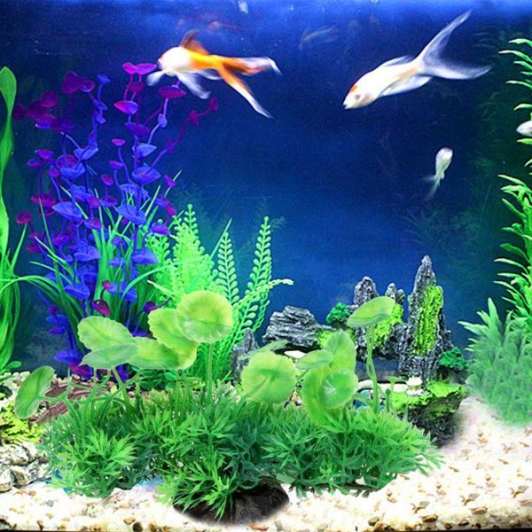 simulation artificial plants aquarium fish tank decor water ornament plant w0yc decorations
simulation artificial plants aquarium fish tank decor water ornament plant w0yc decorations