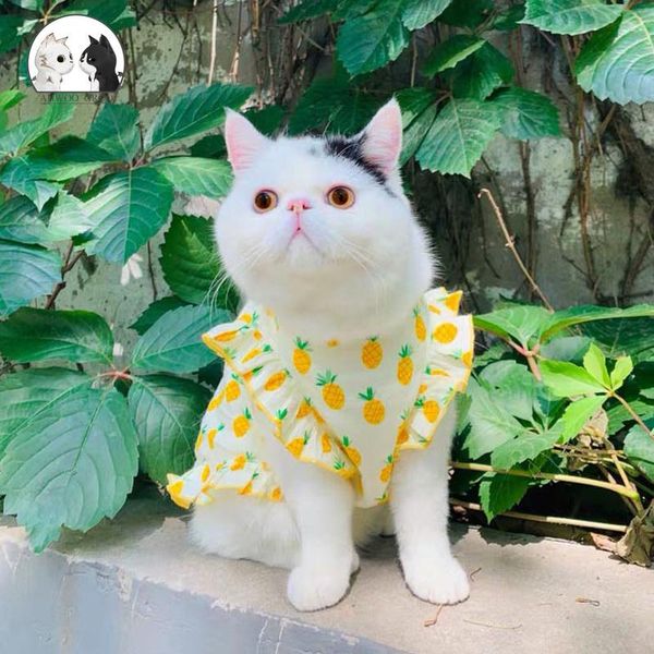 cat costumes summer pineapple dress for pet clothes sweet cute fruit skirt kitten clothing small medium dog breathable
cat costumes summer pineapple dress for pet clothes sweet cute fruit skirt kitten clothing small medium dog breathable