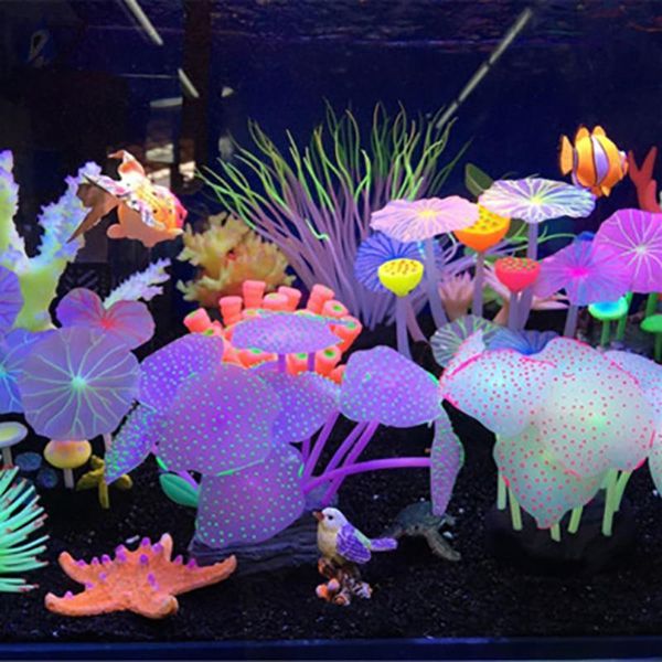 1pc 11 leaves silicone glowing artificial fish tank aquarium coral plants underwater ornament decor decorations
1pc 11 leaves silicone glowing artificial fish tank aquarium coral plants underwater ornament decor decorations