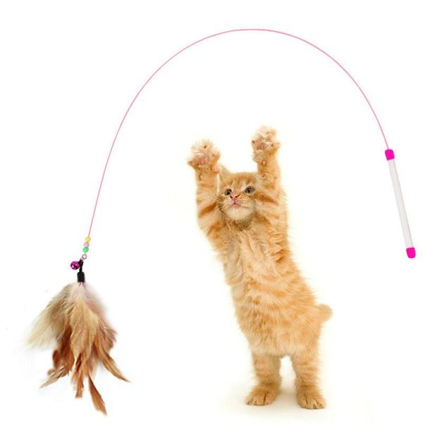 cat toys 10pcs teaser interactive stick toy rod with metal bells and feather long wire supplies play game pet products
cat toys 10pcs teaser interactive stick toy rod with metal bells and feather long wire supplies play game pet products