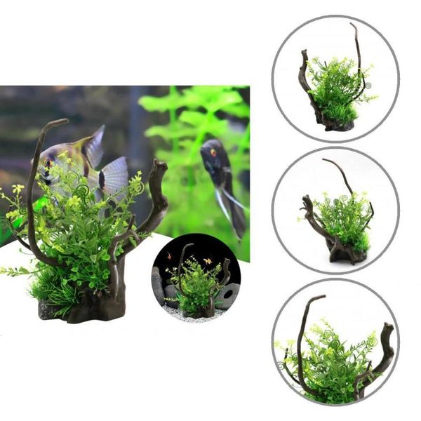 decorations safe unfading color natural fish tank simulation plant decoration aquarium landscaping artificial plants
decorations safe unfading color natural fish tank simulation plant decoration aquarium landscaping artificial plants
