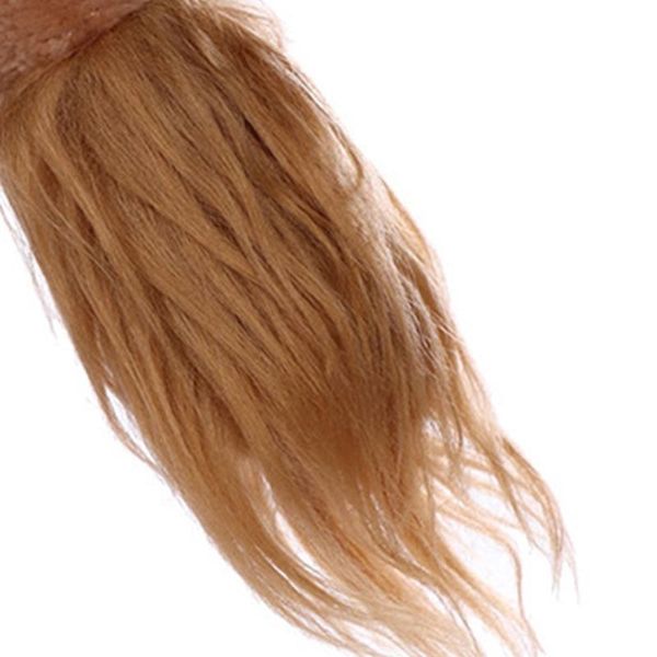 other event & party supplies q1fa lion ears headband and tail costume kit for kids adults brown paws
other event & party supplies q1fa lion ears headband and tail costume kit for kids adults brown paws