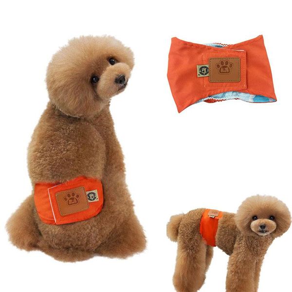 dog apparel 2021 diaper briefs physiological panties underwear female sanitary washable shorts s-xl pants
dog apparel 2021 diaper briefs physiological panties underwear female sanitary washable shorts s-xl pants
