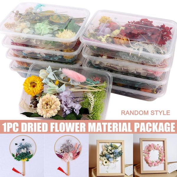 decorative flowers & wreaths pressed flower mixed dried diy art floral decors collection gift craft home hfd889
decorative flowers & wreaths pressed flower mixed dried diy art floral decors collection gift craft home hfd889