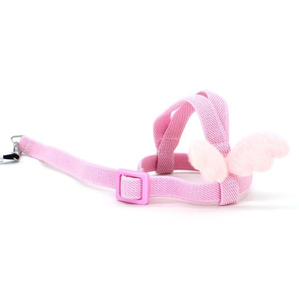 other bird supplies 2m anti bite flying training rope parrot leash ultralight harnesses portable soft band pet 066e
other bird supplies 2m anti bite flying training rope parrot leash ultralight harnesses portable soft band pet 066e