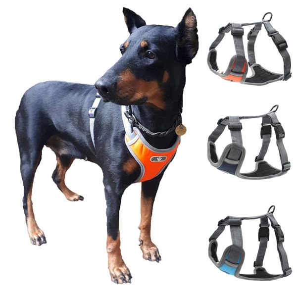 dog collars & leashes adjustable nylon no pull harness vest for big dogs outdoor breathable reflective large pet walking husky pitbull
dog collars & leashes adjustable nylon no pull harness vest for big dogs outdoor breathable reflective large pet walking husky pitbull