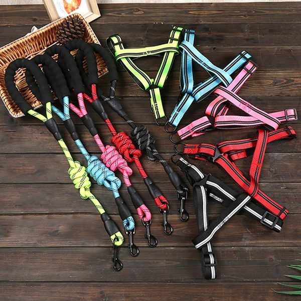 dog collars & leashes arrival s nylon rope belt adjustable collar the harness retractable leash leather sets
dog collars & leashes arrival s nylon rope belt adjustable collar the harness retractable leash leather sets